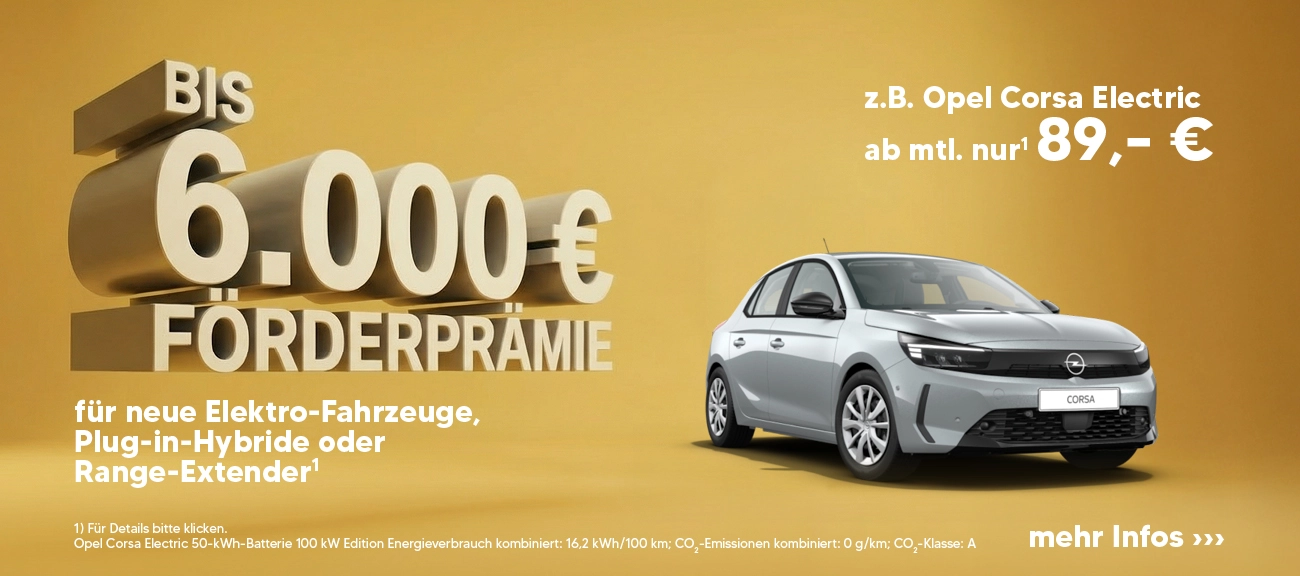 Elektro Förderprämie